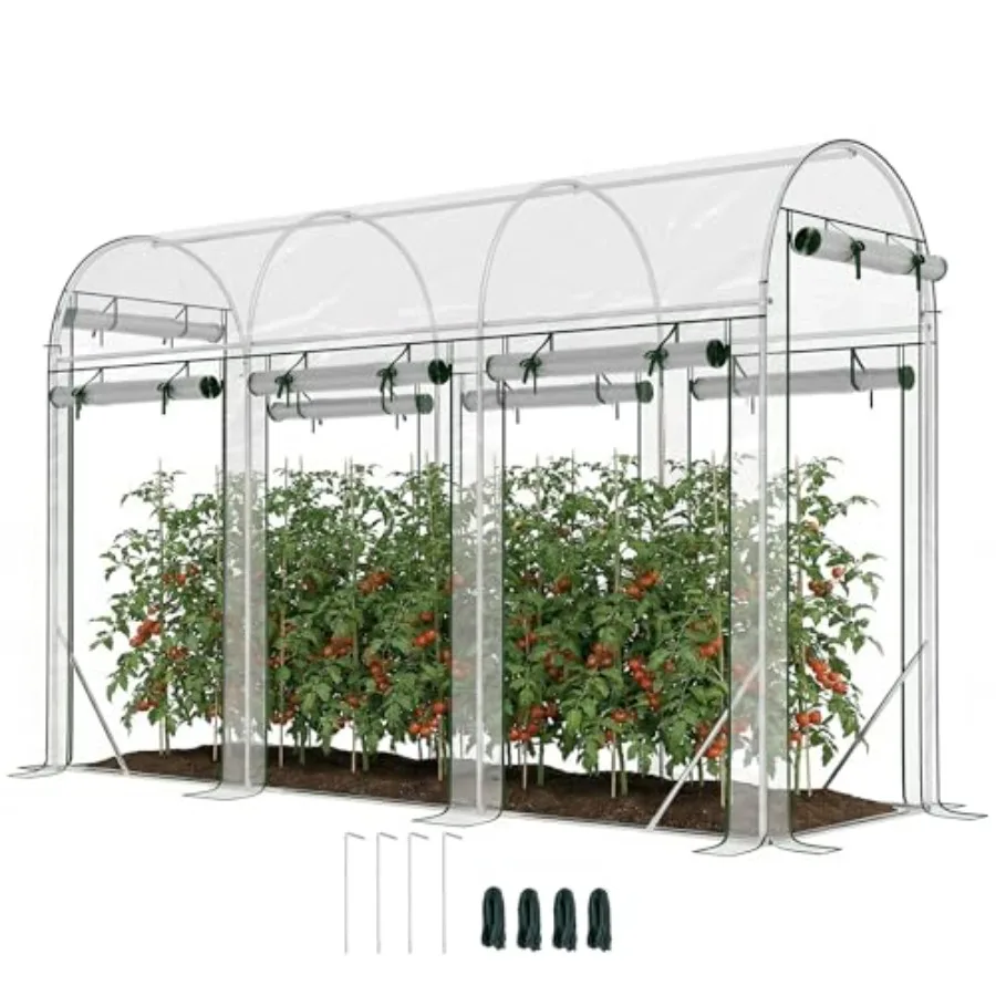 Walk-in Tunnel Greenhouse for gardening use, polyethylene material, green color, 10' x 3' x 6.5' with 8 roll-up doors and clear