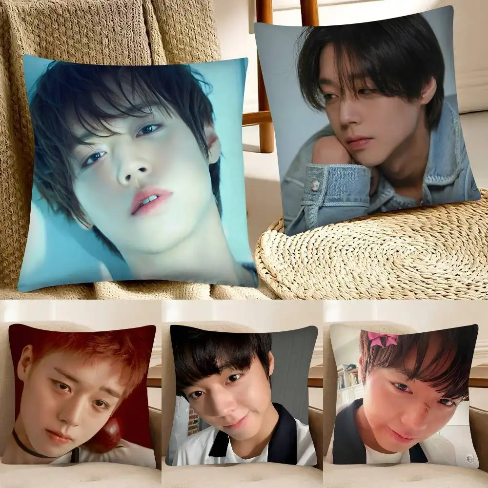 Korean Idol P-Park Ji-Hoon Pillow Case Fashion Square Pillowcase Bedroom Sofa Room Ins Decoration Leisure