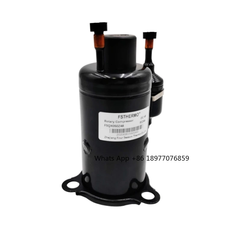 Best Price R290 Dc 24v 48V Twin Cylinder Mini Rotary Compressor Bldc 600W 800W 2000btu FSQP038Z48 For Whole Sale