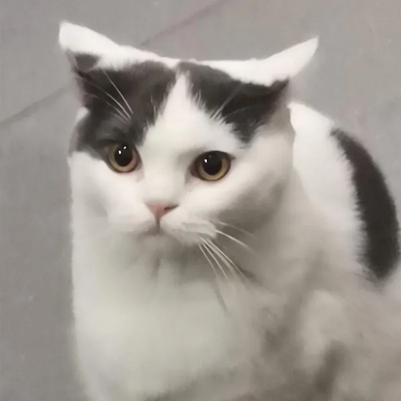 

For Chevrolet Cruze 2009-2015 B/C Pillar Stickers - PC Window Decorative Trim for Middle Pillar,Car Exterior Accessories 2010