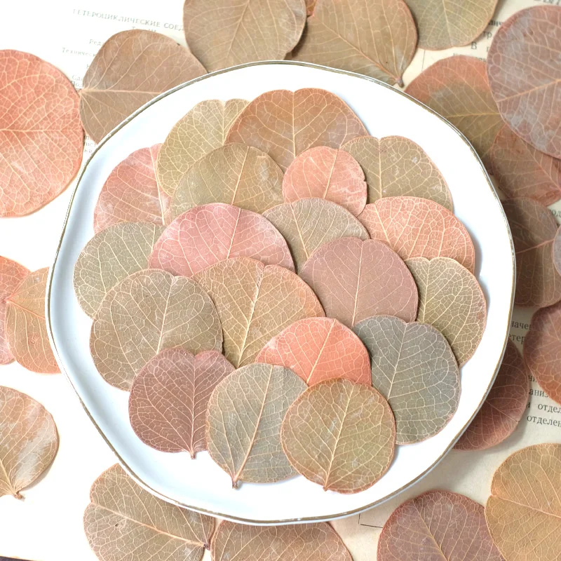 

3-5cm/24pcs,Pressed flower dried Brazilian round leaves,aromatherapy decoration plant frame drip glue phone case home decoration