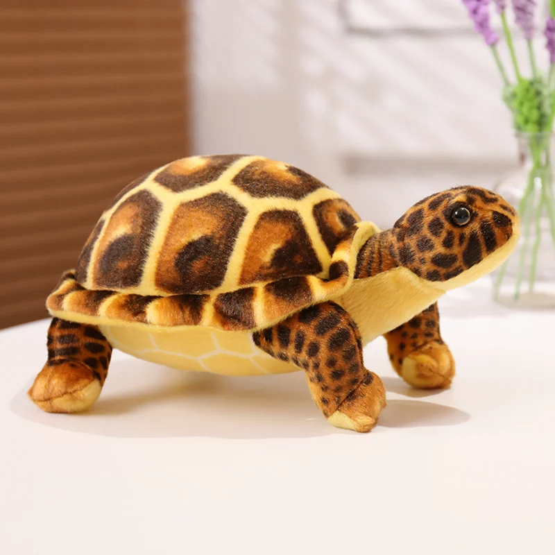 Cute Simulation Turtle 30 cm Brown Green European Turtle Brazilian Turtle Looks Like The Real Stuffed Animals Decorate The Room