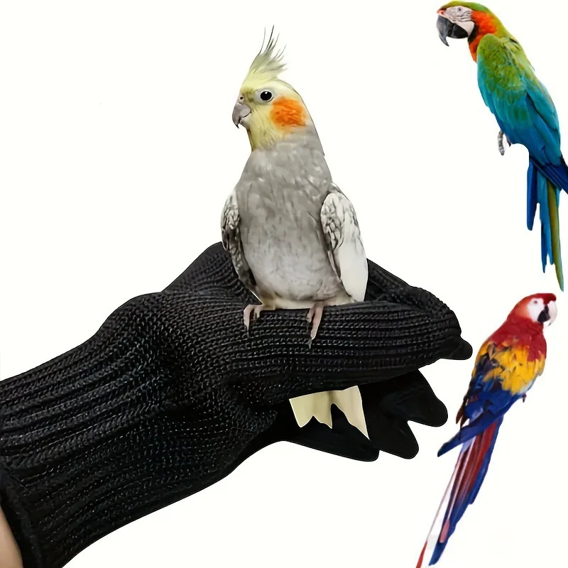 Bird Training Anti-… - image