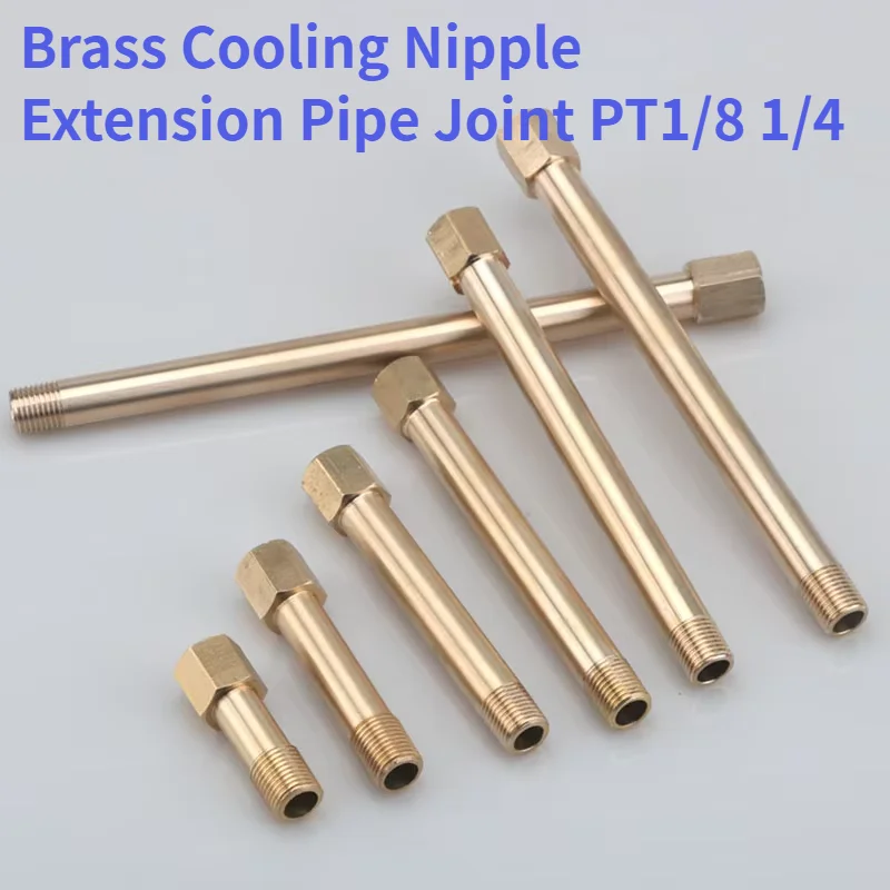 2PCS Brass Cooling Nipple Extension Pipe Joint PT1/8 1/4 Male Female Thread Mold Connector for Industrial