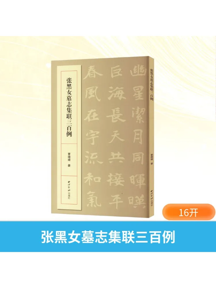 

Книга-Winshare Коллекция трех сто куплетов из надписей «Гробина Чжан Хей»