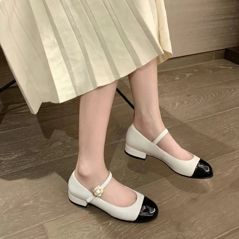 Buty damskie Mary Jane New 2024 Fashion Shallow Flower Buckle Ladies Soft Sole Casual Shoes Elegant Low Heel Leather Shoes Flats