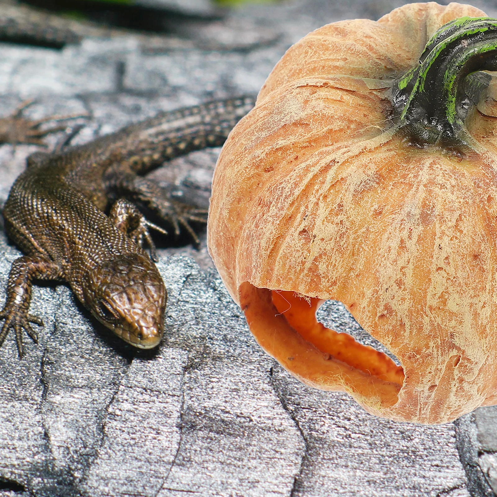 

Reptile Shelter Pumpkin Resin Hide Cave for Turtle Lizard Natural Reptile Tank Decor Hiding Place Snake Hide Resin Hideout Cave