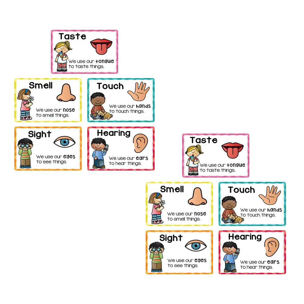 

2 Sets Baby Learning Cards Toddler Early Education Materials Flash Cards Cognitive Development Preschool Classroom Decorations