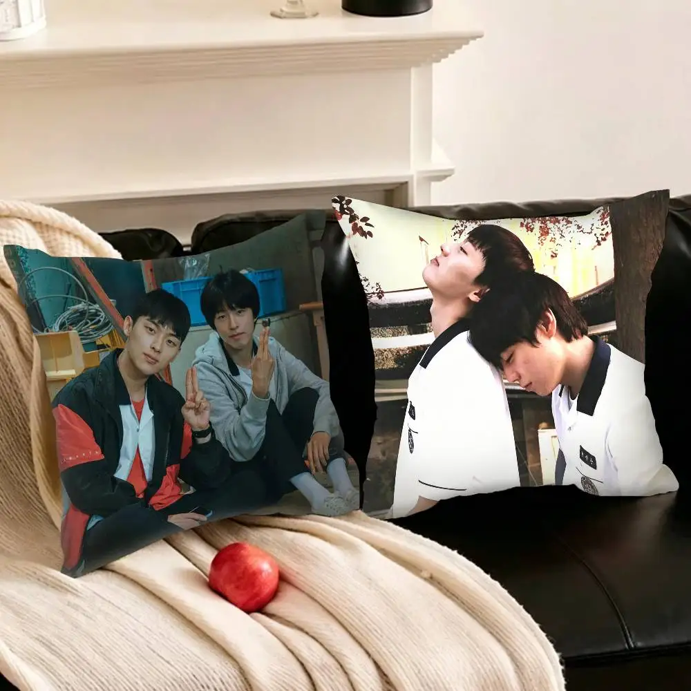 

W-Weak Hero Class 1 Instagram-style Pillowcase living room sofa cushion cover bedroom room bed pillow cover home decoration
