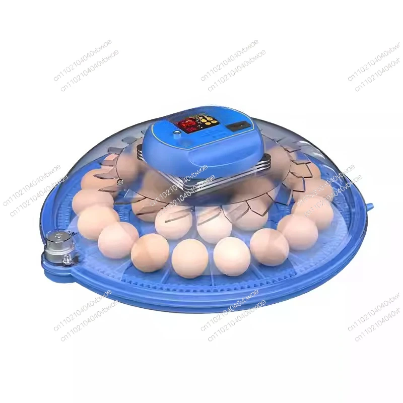 

Suitable for Incubator Small Household Mini Incubator Intelligent Fully Automatic Bird Egg Quail Egg Incubator Box