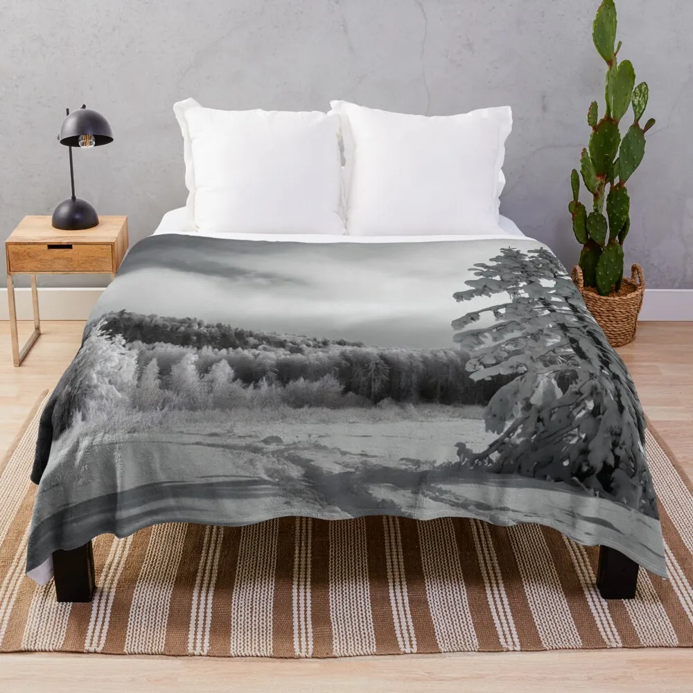 Winter Trail: Monochromatic Mountain Forest Scene Photograph Throw Blanket Nap Weighted For Decorative Sofa Blankets