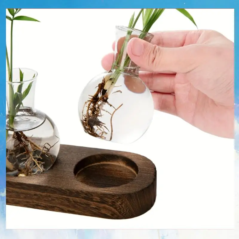 

Retail Plant Terrarium Glass Vase Modern Transparent With Wooden Tray, Indoor Desktop Decor