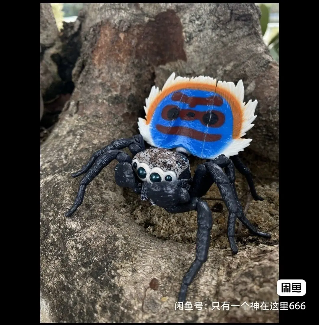 Bandai ของแท้สารานุกรมชีวภาพของเล่น Gashapon นกยูงแมงมุมจําลองแมลง Action ชุดตกแต่งของเล่นสร้างสรรค์