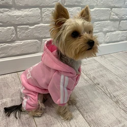 Monos cálidos para perros y gatos, ropa para mascotas de alta calidad y bajo precio, abrigo para perros pequeños, Chihuahua, Yorkshire, Primavera