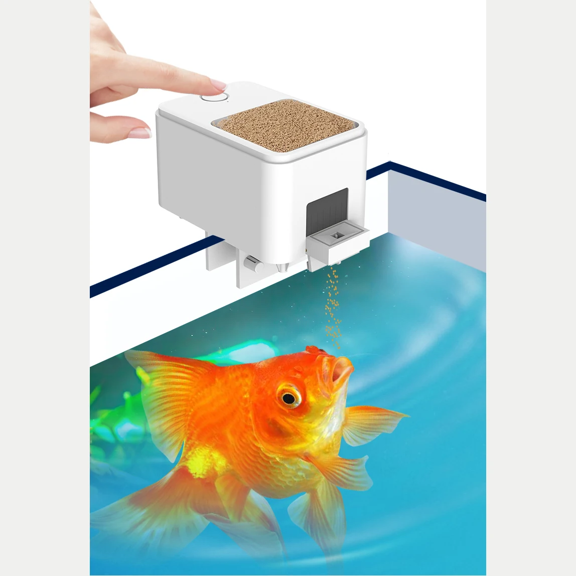 Automatic Fish Feeder, Timed Feeder, Small Fish Tank Feeding Tool, WiFi, Quantitative Koi, Goldfish Food Feeder