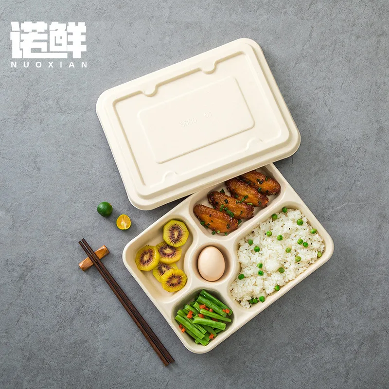 Custom Disposable Lunch Box Paper Pulp Food Container Biodegradable Commercial Takeaway Multi-compartment Packing B