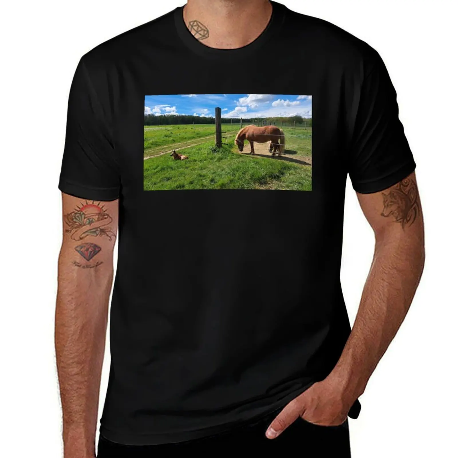 

Megi and horse T-Shirt clothes cute clothes anime t shirts slim fit t shirts for men