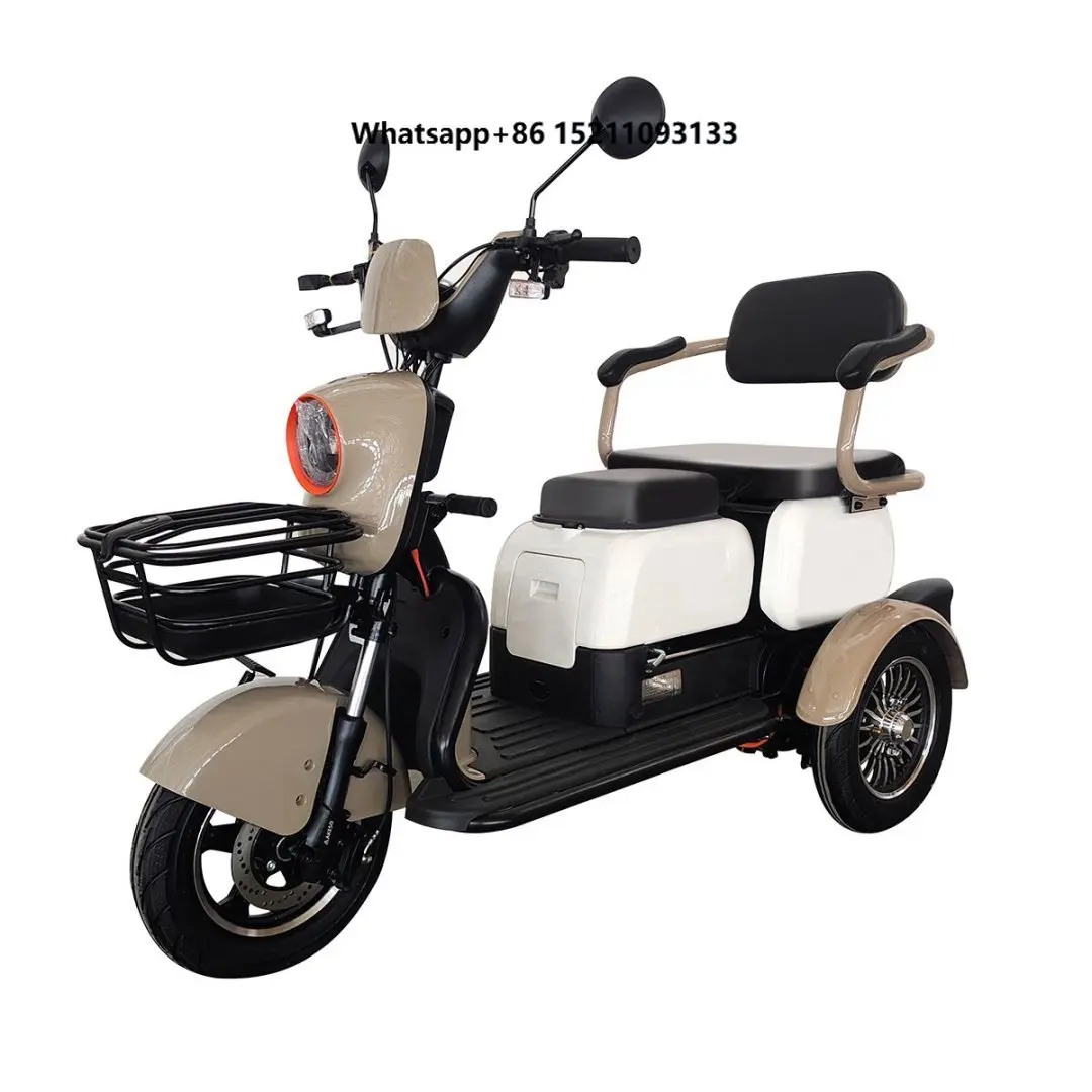 Adult 3-Wheel Electric Tricycle Smooth Safe New Energy Vehicle Mini  Closed Body Type Steel Material Tricycle