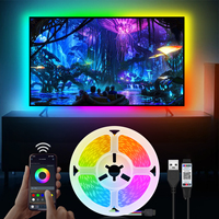 5050 30LEDs/M Strip Lights Bluetooth App Remote Control RGB USB Bright Lamp Ribbon For Bedroom TV Wall And Living Room Decor