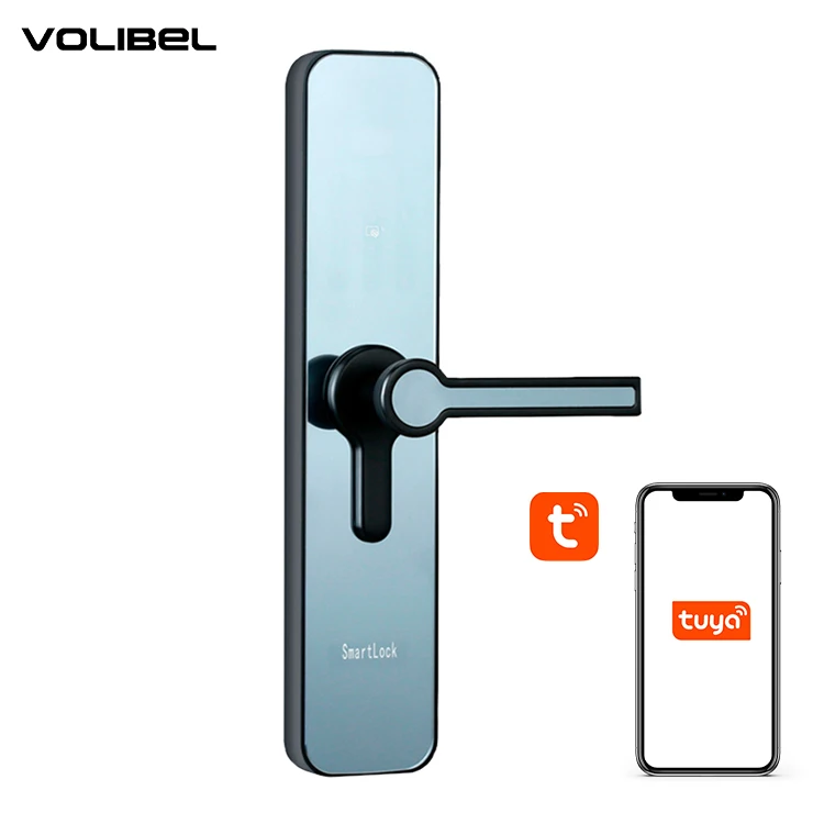 Anti-theft security fingerprint door lock Home smart digital Door Lock