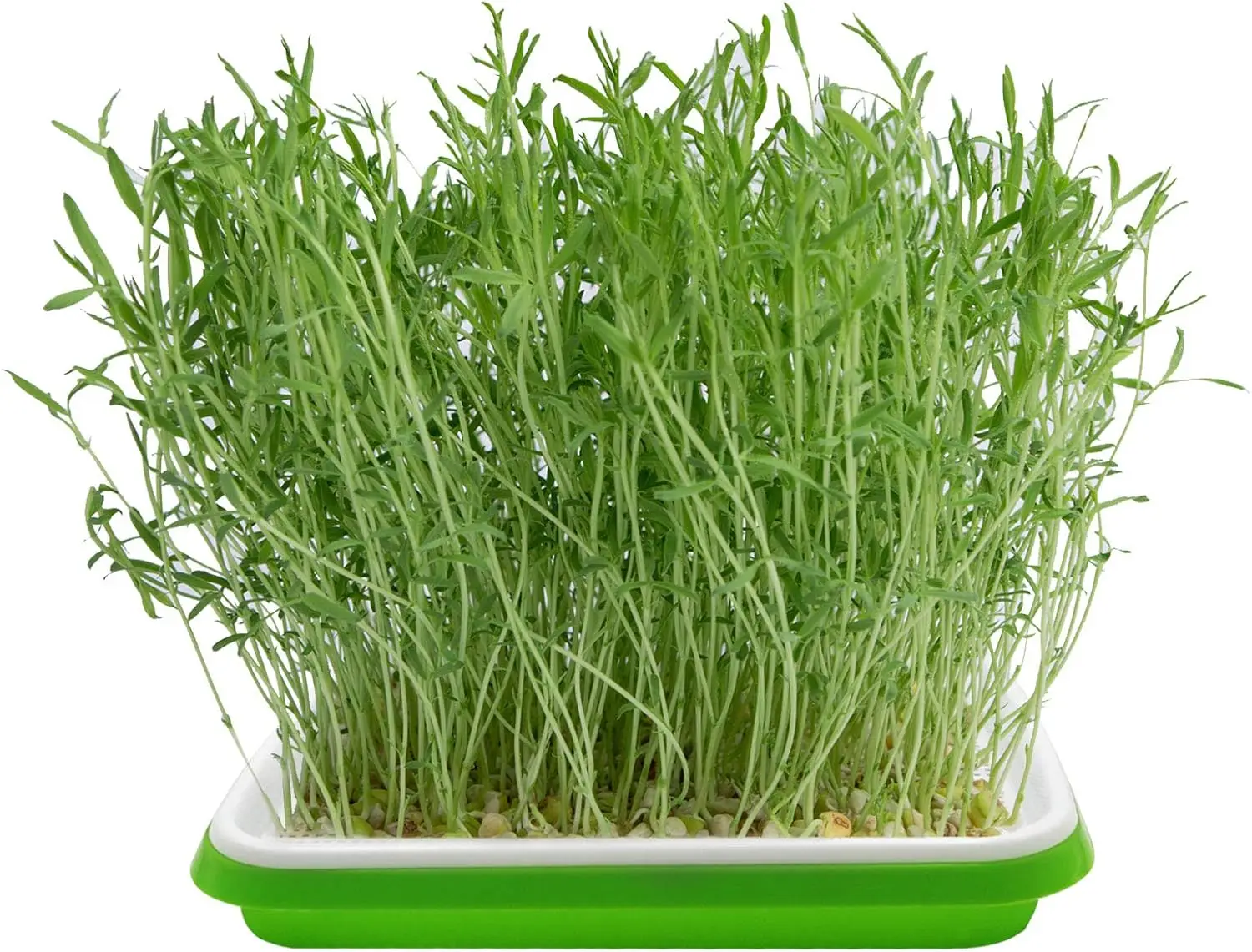 Microgreens Sprouter Tray Hydroponic / Sprouting Tray For Sprout Horticultural Hydroponic Systems Tray Garden Nursery Potted Mic