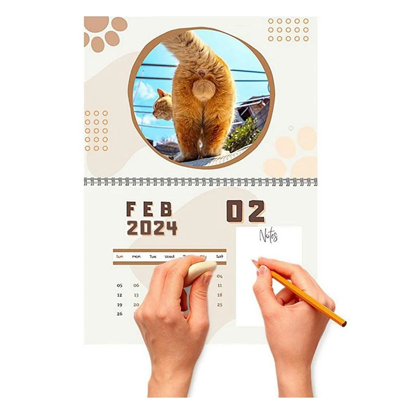 Cat Balls Calendar 25X19cm Funny Cat Butthole Calendar 12 Month Cat Balls Calendar 2024