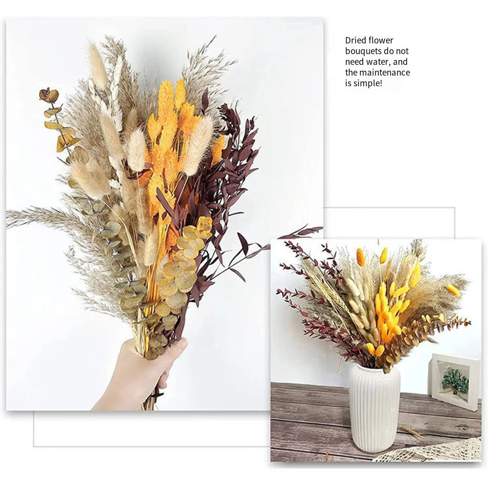 100 قطعة/المجموعة/مجموعة باقة عشب بامباس مجففة طبيعية من الزهور المجففة لغرفة المعيشة الأنيقة وديكور الحفلات ومستلزمات الأعياد والحفلات #3