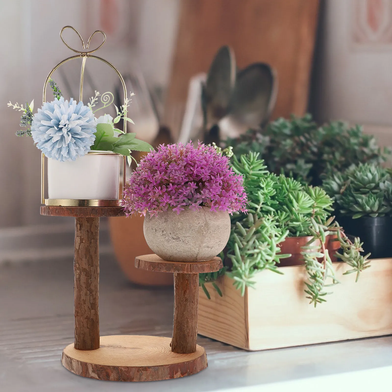 1セット2段木製多肉植物スタンド、屋内屋外バルコニーガーデンディスプレイ用植木鉢ラック、盆栽収納棚、植物用