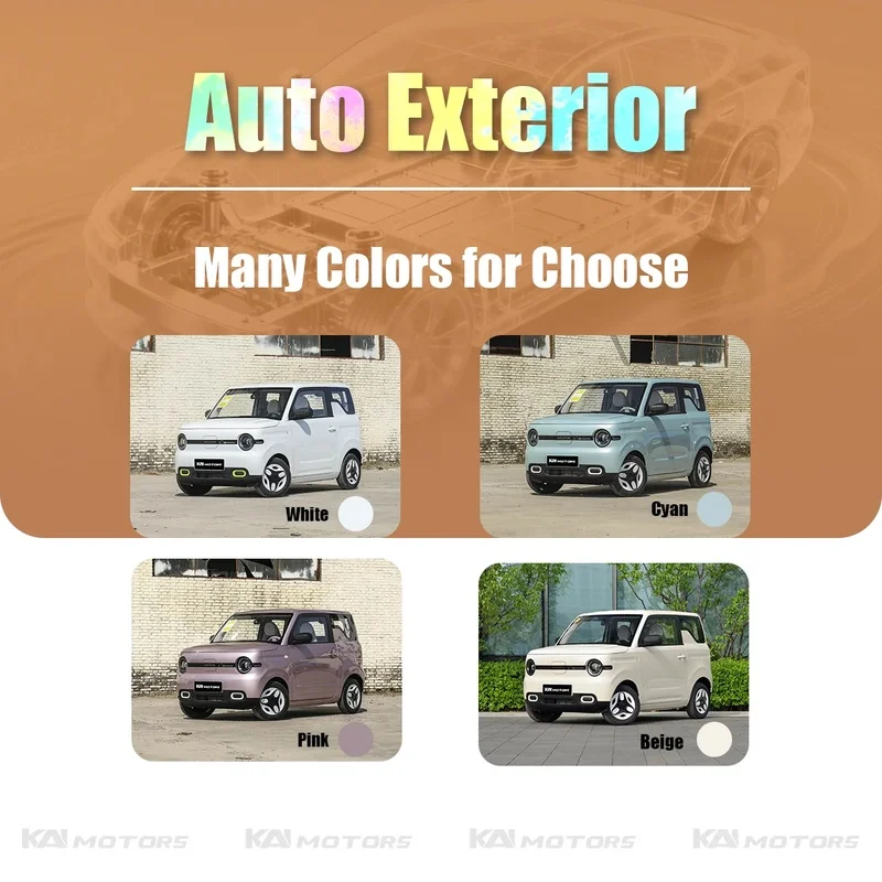 In Stock 2025 LC Panda 3-Door 210km Car 4-0km Used City Car Direct China Supplier