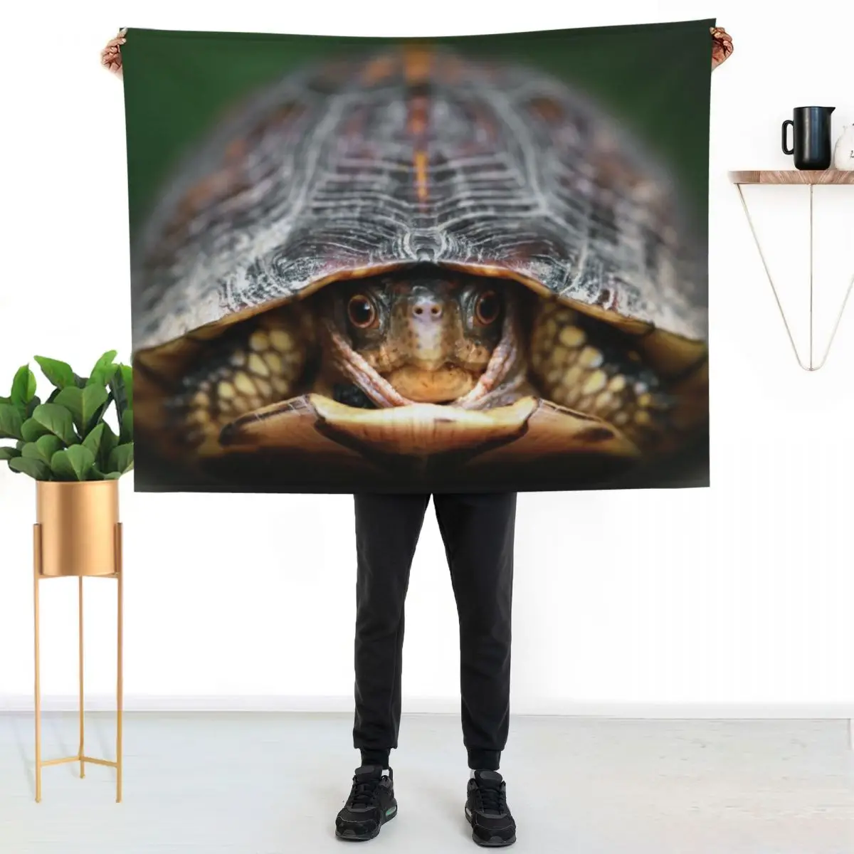 Box Turtle Throw Blanket Moving Extra Large Throw Hairy Soft Plush Plaid Quilt Plush Blankets