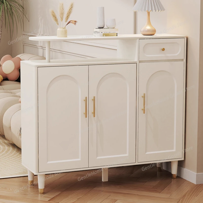 

Modern double-door shoe cabinet armoires de salon interior luxury Cabinet for living room Nordic design szafka na buty furniture