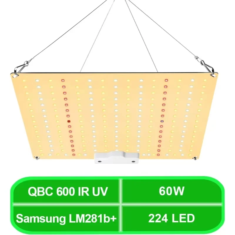 600W LED élèvent la lumière LM281B prise ue spectre complet panneau quantique Phytolamp pour intérieur légumes et floraison serre fleur lampe de culture