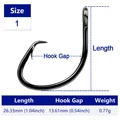 Size1
