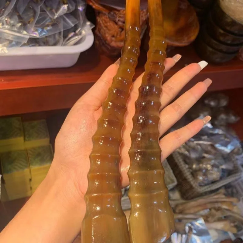 Natural outer Mongolian Tibetan sheep , whole horn, ornament, solid pointed handle, extra large, transparent, full blood col
