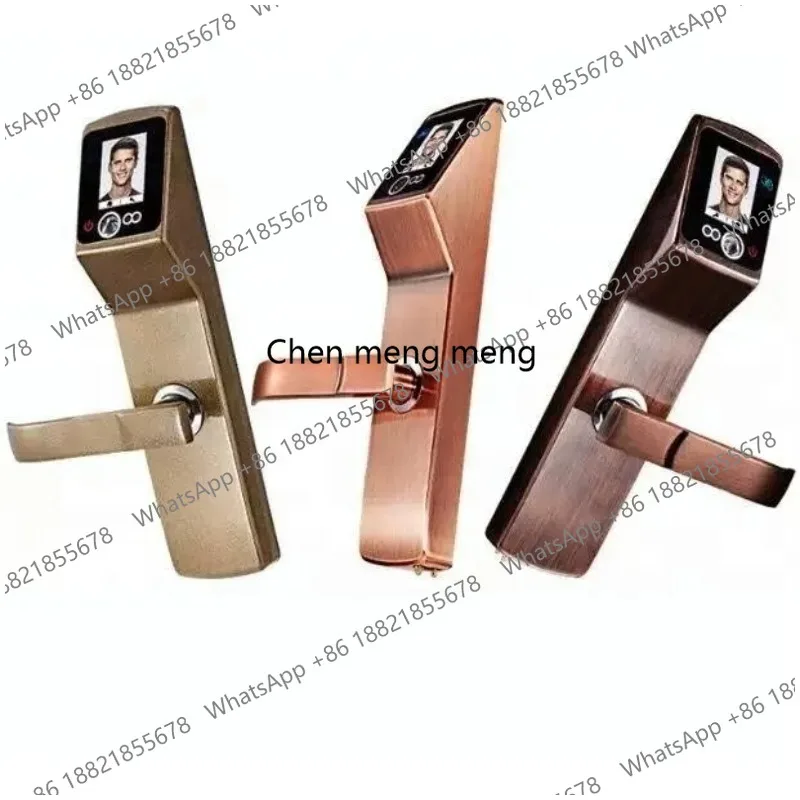 High Level Smart Card Face Recognition Door Lock