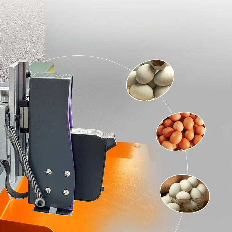 Desktop automatic egg coder printing production date number batch number graphic online inkjet printer