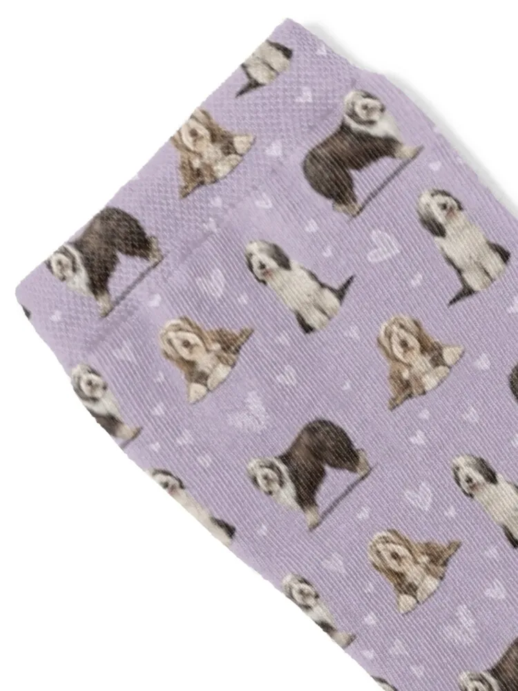 The Bearded Collie Dog Socks