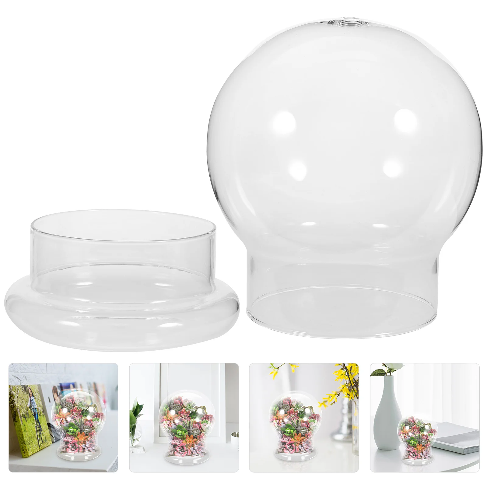 

Landscape Ecological Bottle Cloche Dome Moss Plant Container Flower Pot Terrarium Jar Glass Plants