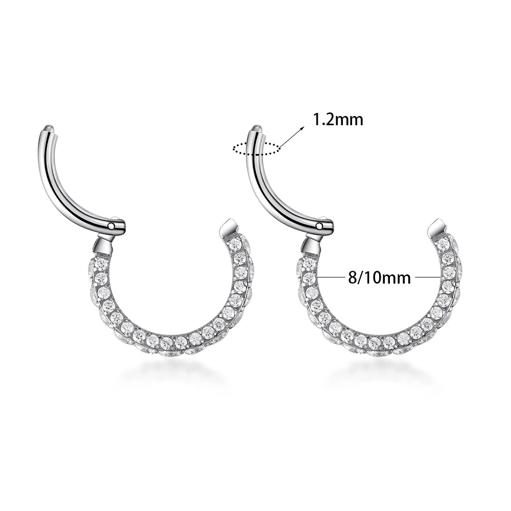 G23 Titanium F136 Nose Ring Earrings Three Dimensional Zircon Round Luxury Jewelry for Women Shining Party Girls Gifts