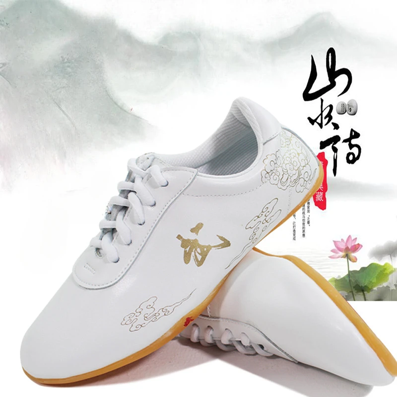 Chinese Martial Arts Wushu Shoes Taolu Kungfu Practice Shoes Indoor Shoes for Men Women Adults