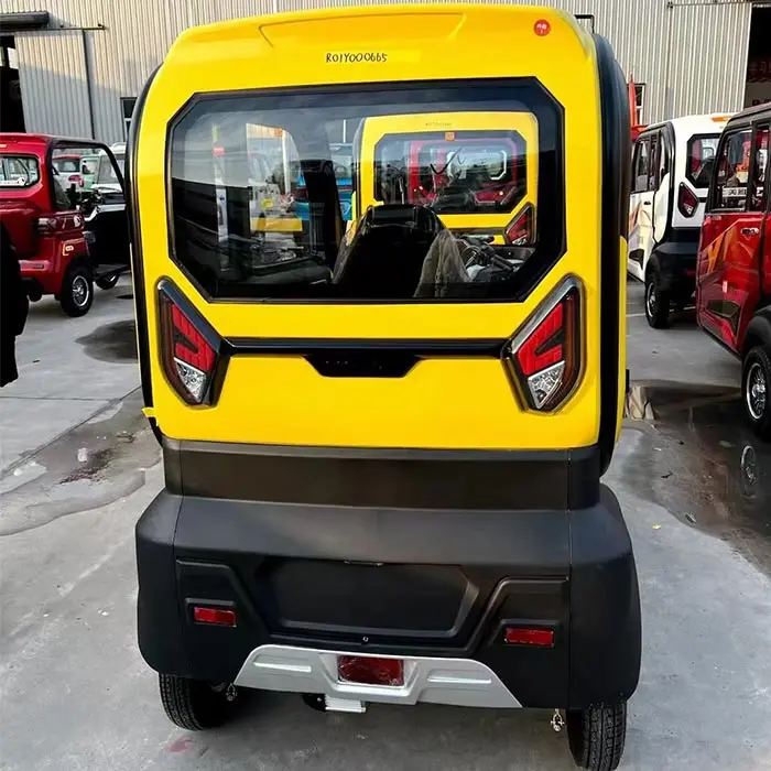Budget-friendly 1000W Motor Speed 40km/H Three Wheel Tricycles Electric for Rural Travel