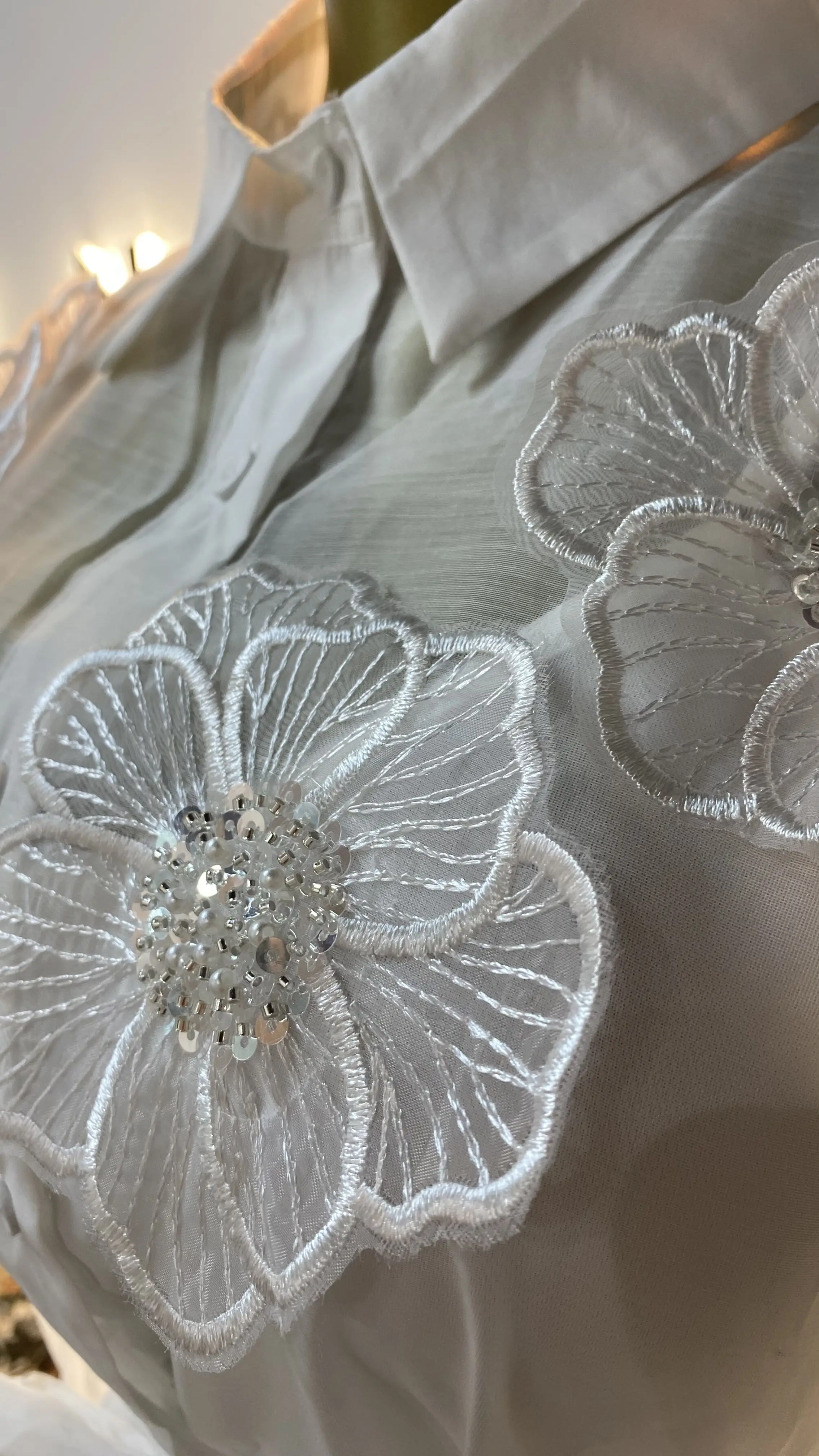 Retro-Modekleid für Damen, elegant, 3D-Applikation, Netzstoff, großer Saum, Design, Revers, lange Ärmel, GZXX485