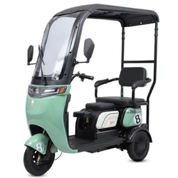 Tricycle électrique injuste avec toit pour adultes et enfants, 800W, 60V, petite trottinette pour parents et femmes, 3 roues