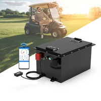 Factory Price 51.2V 105AH LiFePO4 Battery 48V 100AH Lithium Ion Deep Cycle Rechargeable Golf Cart Battery 16S1P Discharge 200A