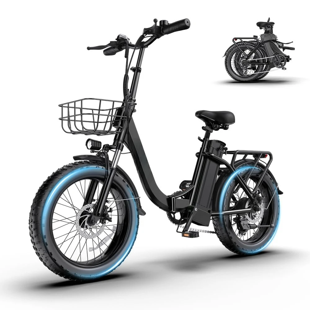 

Customized 1300W Folding Electric Bike with 75 Miles PAS Range 52V 13Ah Removable Battery 20' Fat Tire Front Suspension