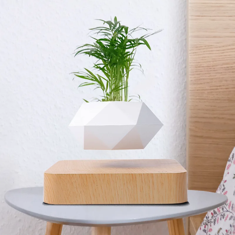 الأمازون ماجليف بوعاء النبات الإبداعية بونساي DIY اناء للزهور علقت الهواء بوعاء النبات مصدر التجارة الخارجية زخرفة بالجملة