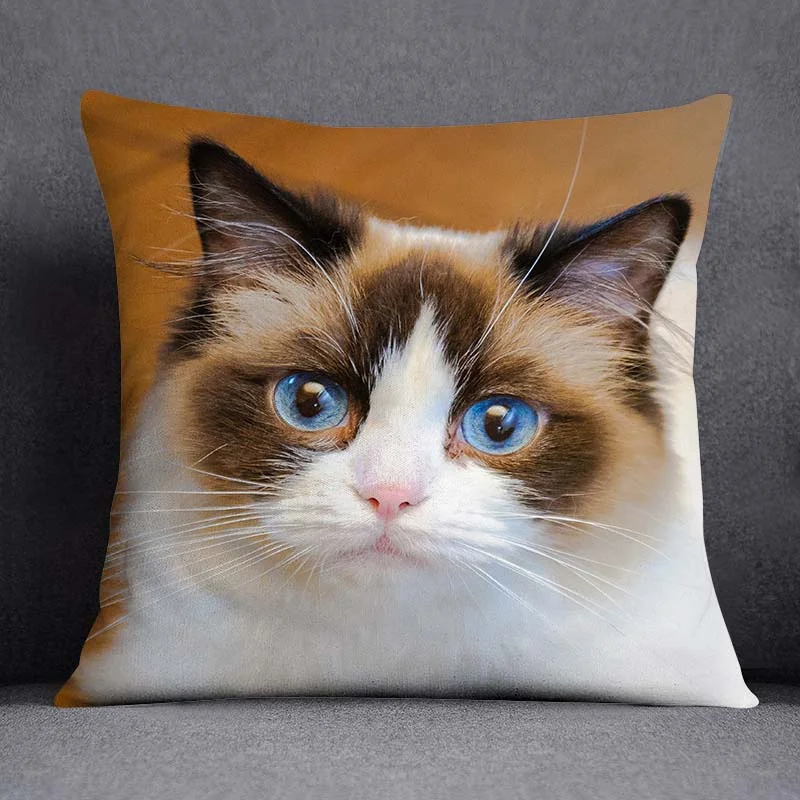 Cat series pattern decorative pillowcase, square  home office decoration (45cm * 45cm)