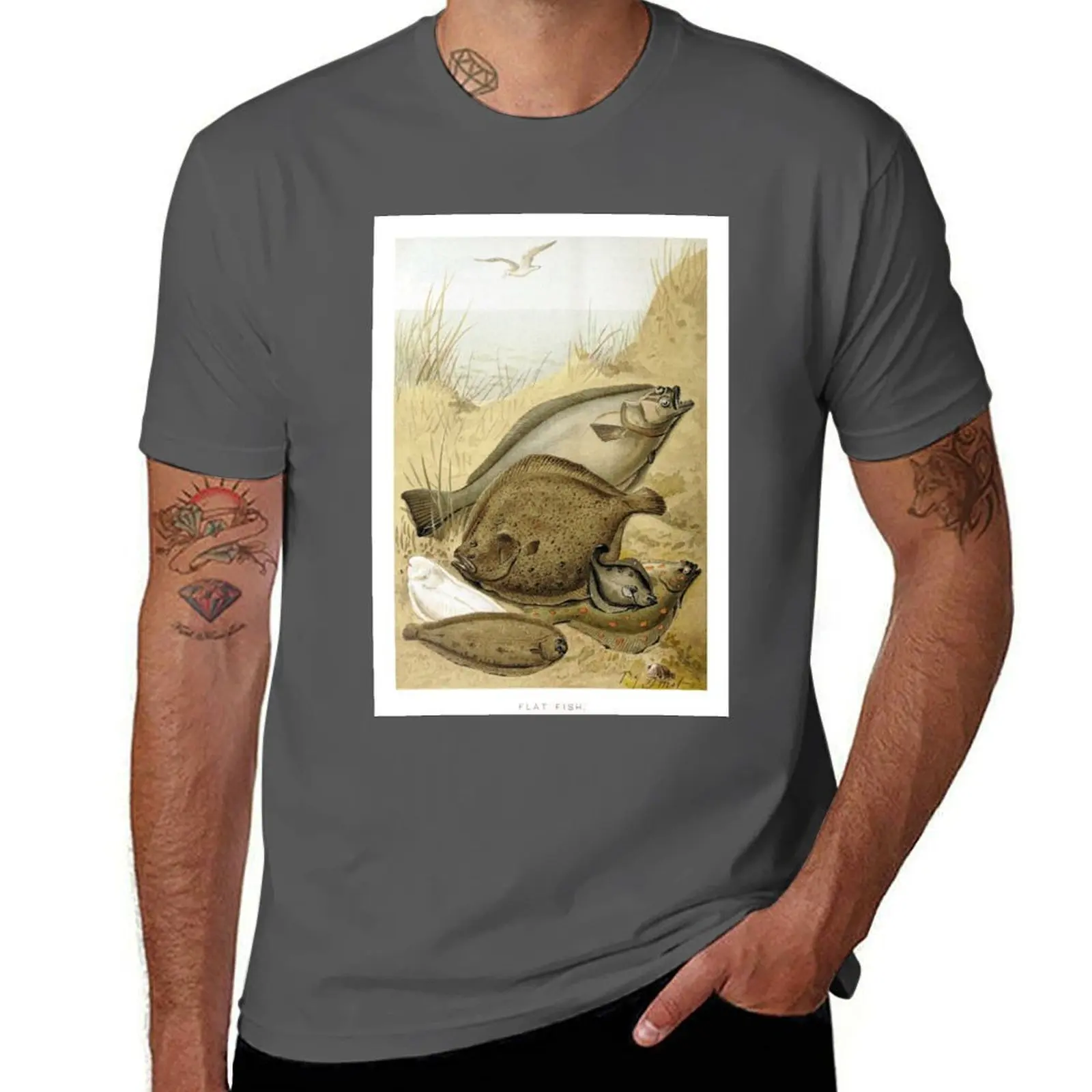 Flat Fish T-Shirt Plus Size Basic Cotton T-Shirt