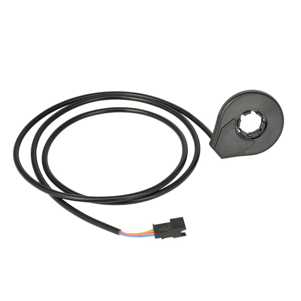 Physical Fitness El… - image