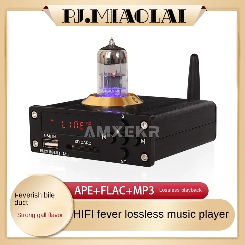 Perder Música Ape Player, Bluetooth HiFi Febre Amplificador, Estéreo Nível da Vesícula Biliar, Decodificador DAC, M5